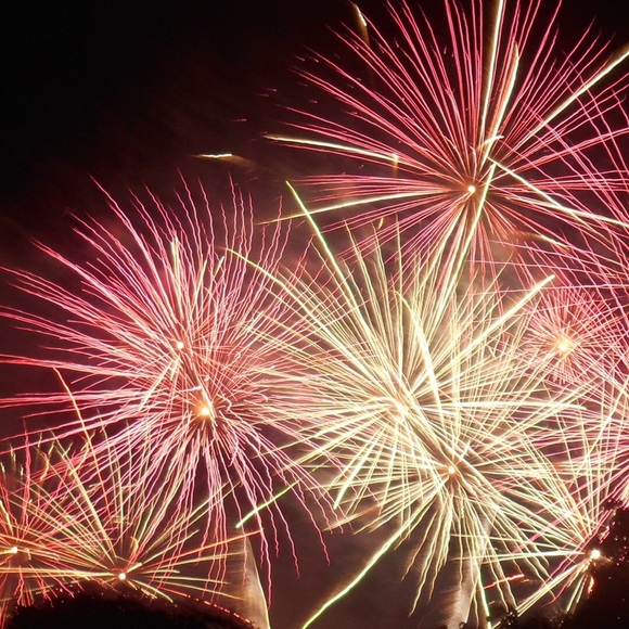 Meet your Posher, Ella - Picture 1 of 1